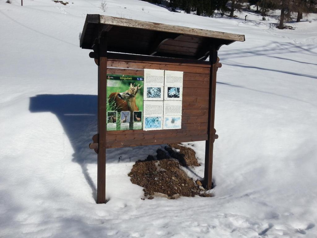 Ar Mountains Lodge Villachiara Branzi Buitenkant foto