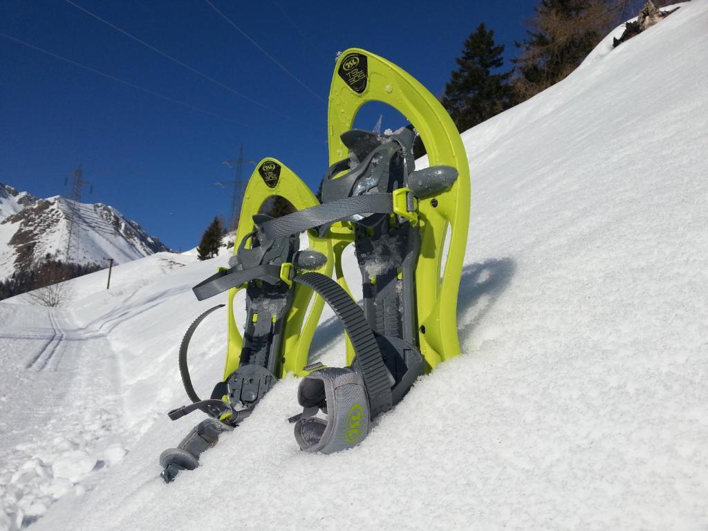 Ar Mountains Lodge Villachiara Branzi Buitenkant foto